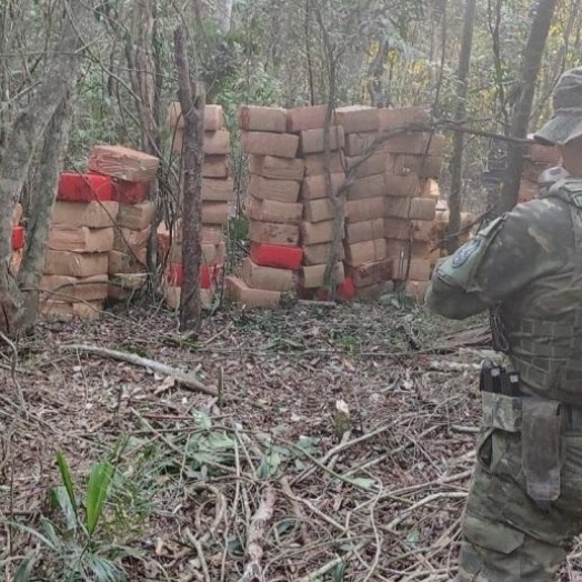 PMPR apreende 6 toneladas de maconha em área rural de Marechal Cândido Rondon