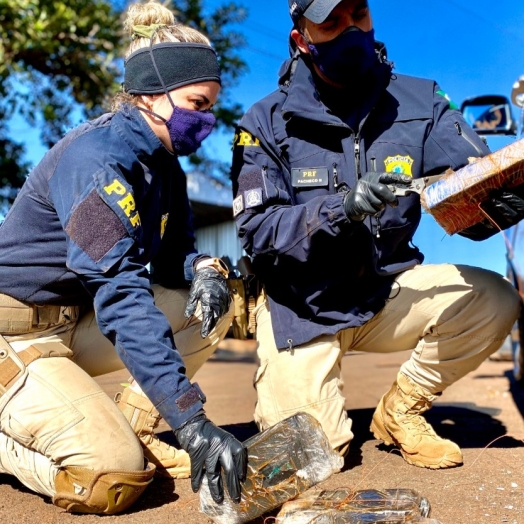 PRF e PCPR apreendem drogas e dão prejuízo de R$ 16 milhões ao crime organizado em Santa Terezinha de Itaipu