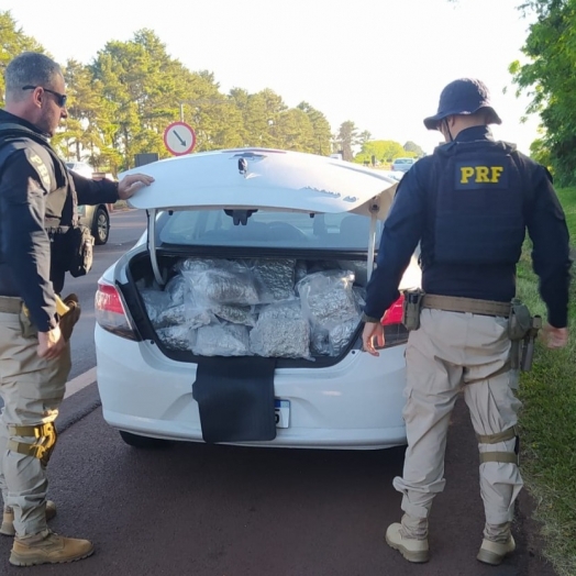 PRF prende jovem transportando skunk em São Miguel do Iguaçu