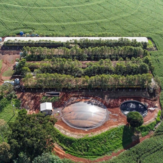 Produção de biogás a partir da suinocultura gera renda extra para produtores do Paraná