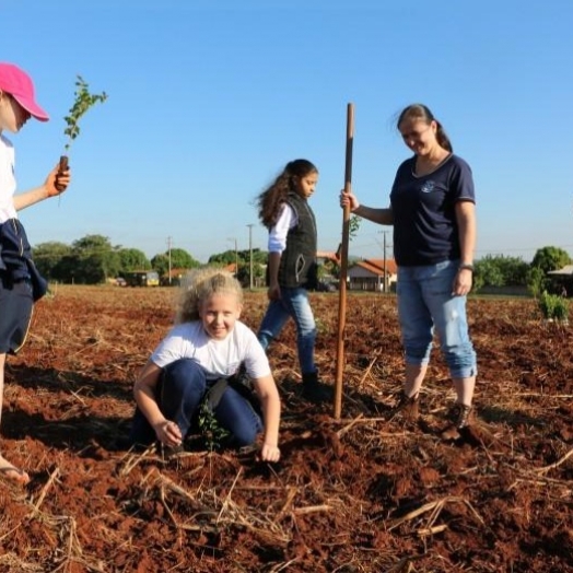 Professor relata importância educativa do plantio de árvores em Santa Helena