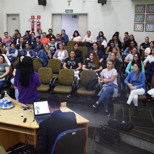 Profissionais de Saúde participam de palestra sobre ‘Saúde Mental Materna’