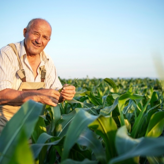 Projeto muda regra para incluir produtor rural como segurado especial da Previdência