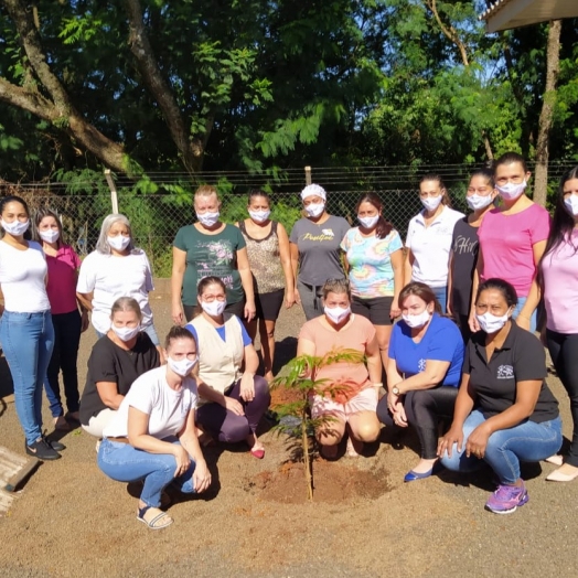 Projeto: Plantando Esperança CMEI Pequeno Polegar