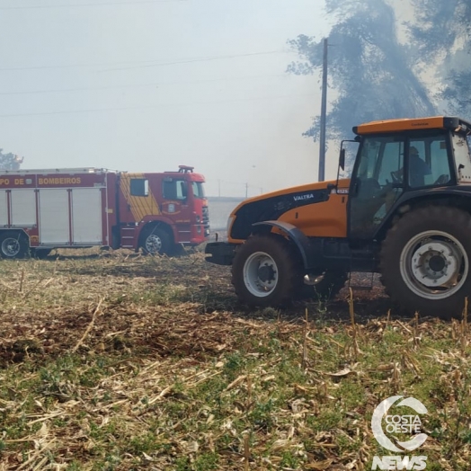 Quatro incêndios ambientais acontecem simultaneamente em Santa Helena