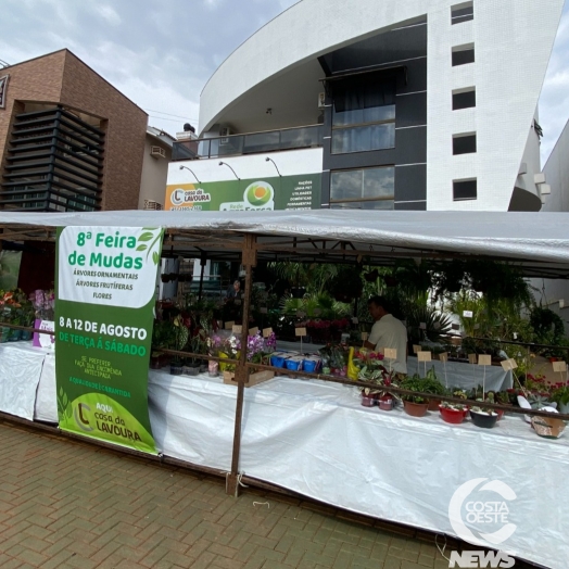 Feira de mudas e árvores frutíferas da Casa da Lavoura atrai clientes em São Miguel do Iguaçu