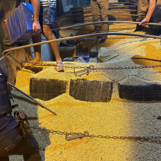 Receita Federal, Polícia Militar (PR) e Polícia Federal apreendem mais de quatro toneladas de maconha