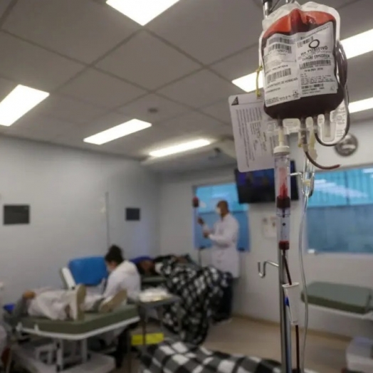 Rede de doação de sangue do Paraná registra alta de 10%