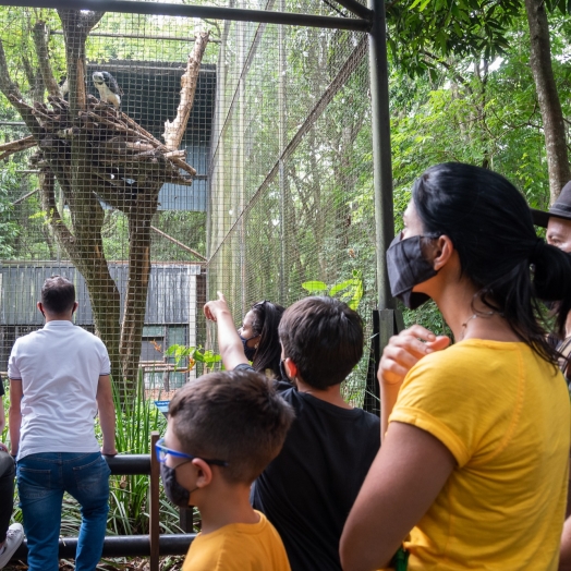 Refúgio da Itaipu é opção segura de passeio para turistas neste Carnaval