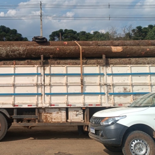 Regional do IAT apreende carga ilegal com 24 toras de araucária no município de Pinhão