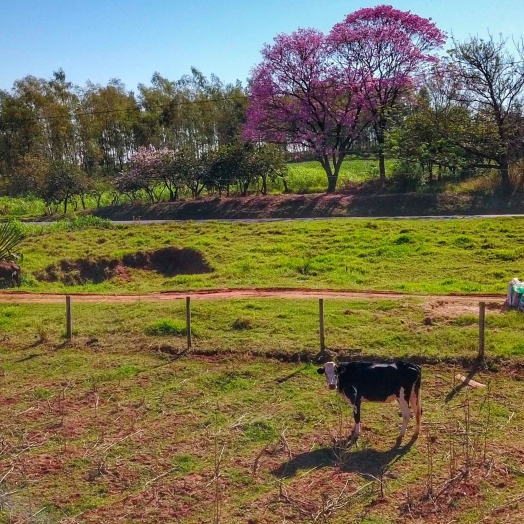 Regularização fundiária alcança mais de 1,2 mil pequenos produtores