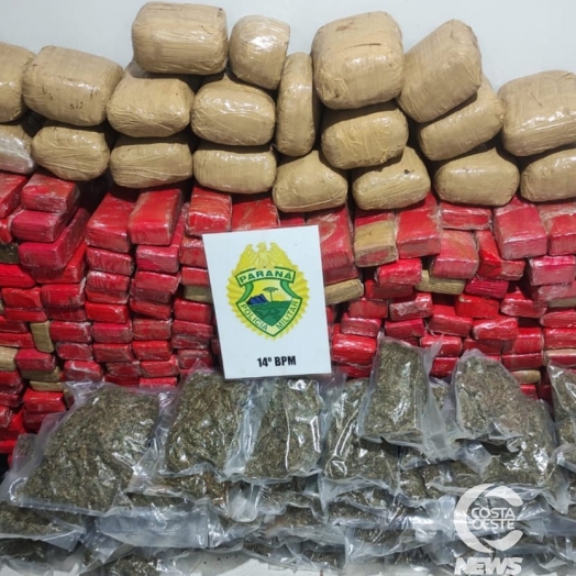 ROTAM apreende grande quantidade de maconha e prejuízo ao crime é de R$ 80 mil