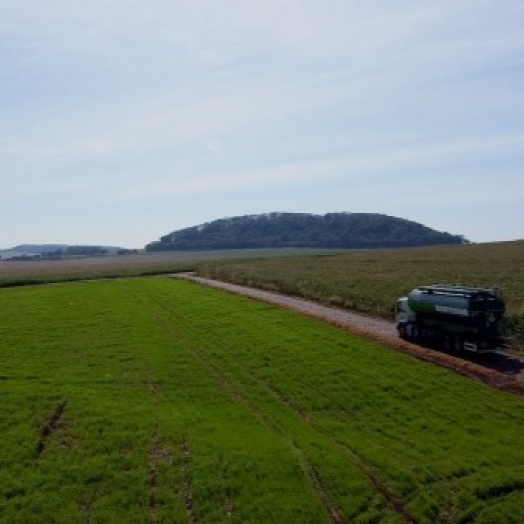 São Miguel do Iguaçu: 63 anos de história e crescimento com base na agricultura