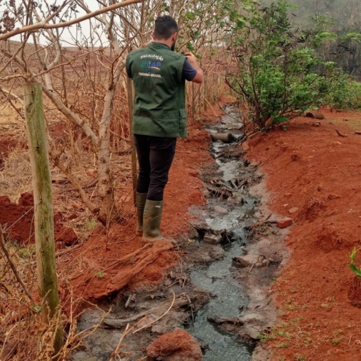 Suinocultor é multado em R$ 100 mil por infração ambiental em córrego de Toledo