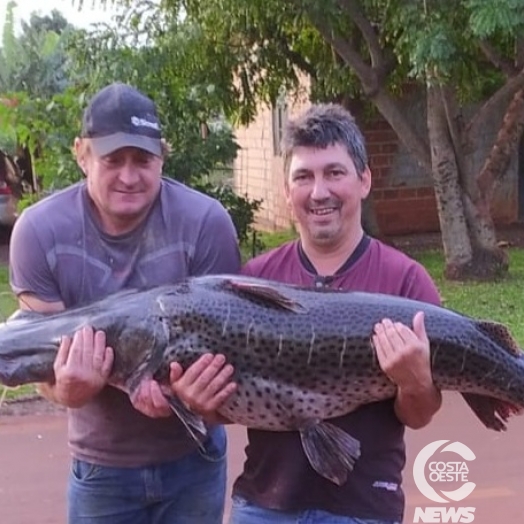 Surubim com mais de 40kg é capturado por pescadores em Santa Helena