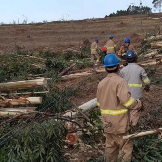 Temporais de outubro causaram mais estragos que ciclone-bomba no interior do Paraná