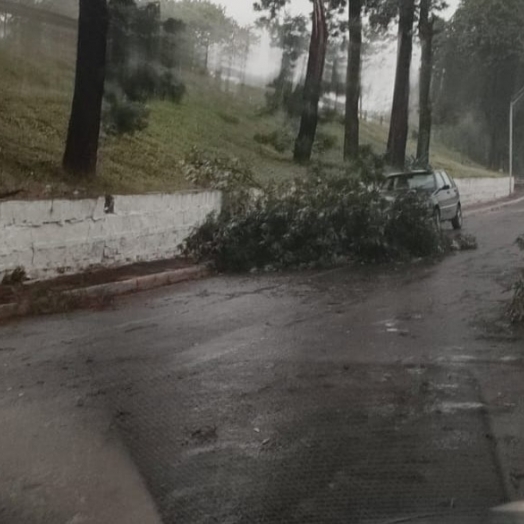 Temporal provoca falta de energia e afeta o abastecimento em cidades e distritos nas regiões Oeste e Sudoeste