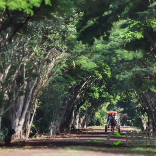 Turismo rural é opção para aumentar a renda no campo