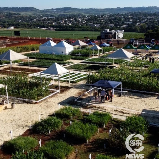 Uniguaçu realiza III Dia de Campo, evento segue até amanhã (04)