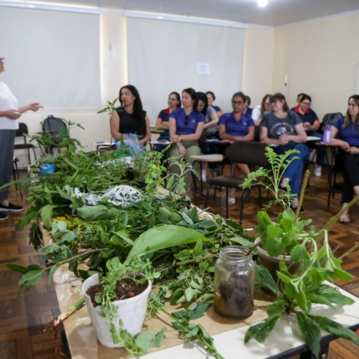 Uso popular das plantas medicinais é tema de capacitação para profissionais da saúde em Missal