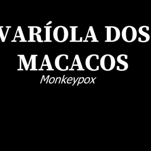 Varíola dos macacos: entenda a transmissão, os sintomas e a vacina