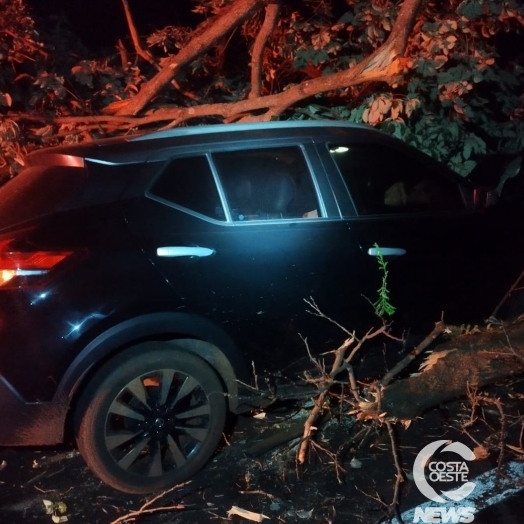 Veículo colide em árvore derrubada por manifestantes na PR 495, em Santa Helena