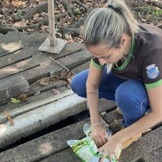 Vigilância em Saúde age rápido após identificação de infestação de ratos na praça central de Santa Helena